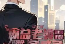 如果不是霸总老婆我还是一条咸鱼小说完结了吗?在哪里可以免费读到?-红梅文学