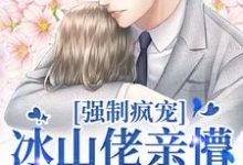 小说《强制疯宠,冰山佬亲懵娇软野玫瑰》在线章节阅读-红梅文学