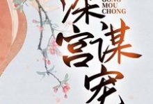 《深宫谋宠》苏菱魏宸州小说免费阅读完整版-红梅文学