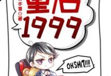 重启1999小说的无弹窗阅读体验，寻找免费阅读网站-红梅文学