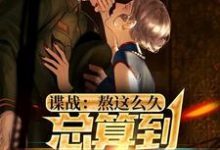 谍战:熬这么久,总算到美人计了小说全文哪里可以免费看?-红梅文学
