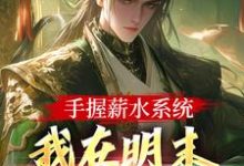 完整版的手握薪水系统，我在明末月入两千两小说在哪里可以免费读到？-红梅文学