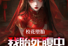 完整版《刚穿越就胎死腹中,我化身诡婴》小说免费阅读-红梅文学