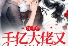 姜黛霍时宴完整版《分手后,千亿渣男爆改舔狗求复合》小说免费阅读-红梅文学