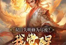 双目失明修为尽废?我觉醒盖世武魂叶无尘小说在线章节免费阅读-红梅文学