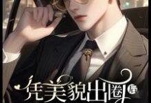 宁珂沈晏小说《凭美貌出圈后 ,不婚沈总要娶我》完整版免费阅读-红梅文学