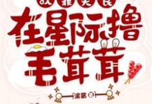 《我靠美食在星际撸毛茸茸们》小说免费阅读完整版-红梅文学