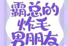 霸总的炸毛男朋友程年袁准易,霸总的炸毛男朋友完整版最新章节-红梅文学