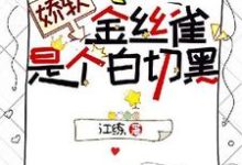 免费看娇软金丝雀是个白切黑小说的网站有哪些?-红梅文学