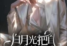 沈眠顾若麟小说白月光把自己当替身后在线阅读章节-红梅文学