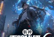 完整版的斩神:重瞳代理人,开局麒麟宝术小说在哪里可以免费读到?-红梅文学
