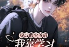 穿成假少爷后我靠学习成为团宠小说全文哪里可以免费看?-红梅文学