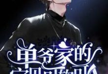 完结版《单爷家的宝贝可软可A》章节阅读-红梅文学