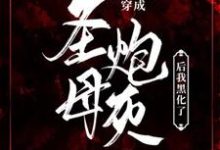 【末世】穿成圣母炮灰后我黑化了小说完结版章节免费阅读-红梅文学