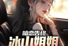 暗恋告终，冰山姐姐追夫火葬场小说无弹窗阅读的网站推荐-红梅文学