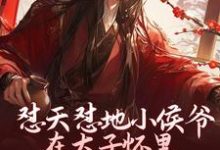 哪里能找到怼天怼地小侯爷在太子怀里装柔弱小说的最新更新和免费章节?-红梅文学
