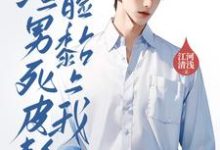 离婚后,渣男死皮赖脸黏上我小说最新章节在哪里可以读到?-红梅文学