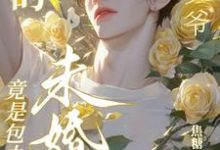 找的帅“少爷’竟是包办婚姻未婚夫靳司承季辞,找的帅“少爷’竟是包办婚姻未婚夫完整版最新章节-红梅文学