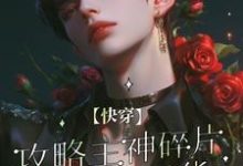 【快穿】攻略主神碎片后我想退货这本小说怎么样?免费在线阅读试试-红梅文学