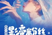 陆霖黎折折小说《经纪人掉马后,影帝粉丝集体翻墙》完整版免费阅读-红梅文学