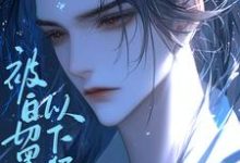 寻找能够免费阅读被白切黑娘子以下犯上了小说的平台-红梅文学
