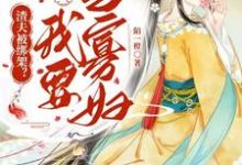 我在侯府守寡卖命,夫君假死抱美人小说无弹窗阅读的网站推荐-红梅文学