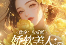 沉浸式快穿:反派男主的洗白之旅小说最新更新在哪里?免费在线看-红梅文学