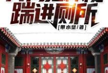 求推荐可以免费阅读穿到四合院,我战斗力太强小说的网站-红梅文学