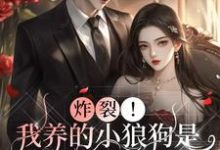 小说《炸裂!我养的小狼狗是豪门继承人》完整版在线章节免费阅读-红梅文学