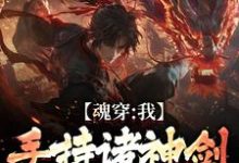 在线寻找魂穿:我手持诸神剑,踏平九重天小说的无删减版本-红梅文学