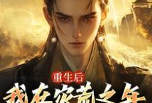 叶飞何秀秀完整版小说免费阅读-红梅文学