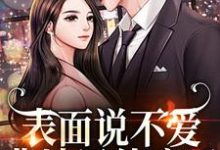 表面说不爱,背地里他疯了小说的免费电子版在哪里可以下载或阅读?-红梅文学