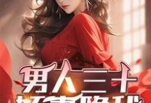 小说完整版《男人三十:娇妻隐秘》免费阅读-红梅文学