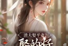 求渣夫娶平妻?娶的好,下次别再娶了小说免费资源-红梅文学