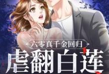 夏明黎小说免费阅读完整版-红梅文学