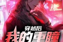 穿越后,我的重瞳超无敌小说最新更新在哪里?免费在线看-红梅文学