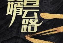 安江秦盼儿小说完整版《赘婿青云路》免费阅读-红梅文学