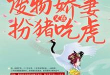战王接嫁:废物娇妻又在扮猪吃虎免费阅读,战王接嫁:废物娇妻又在扮猪吃虎章节目录-红梅文学