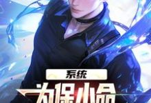 系统:为保小命,给儿子们全附魔罗恩小说大结局免费试读-红梅文学