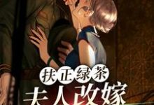 扶正绿茶？夫人改嫁少帅你哭什么完整版小说，扶正绿茶？夫人改嫁少帅你哭什么傅安安-红梅文学