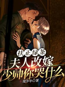 扶正绿茶？夫人改嫁少帅你哭什么完整版小说，扶正绿茶？夫人改嫁少帅你哭什么傅安安