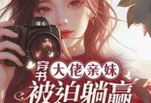 穿书大佬亲妹,被迫躺赢当团宠!袁央央小说在线章节目录阅读最新章节-红梅文学