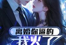 完结版《离婚你逼的,我火了你哭什么?》在线免费阅读-红梅文学