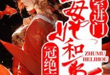 宋筝小说外室进门?主母她和离后冠绝京城章节免费阅读-红梅文学
