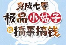 《穿成七零极品小姑子,她搞事搞钱》小说章节列表免费试读,苏小满傅景濉小说在线阅读-红梅文学