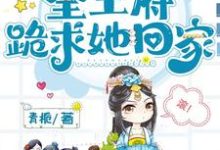 沈时鸢君九宸小说《藏孕肚和离,全王府跪求她回家》完整版免费阅读-红梅文学