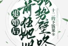哪里可以免费找到退婚后,被前任她姐强势壁咚?-红梅文学