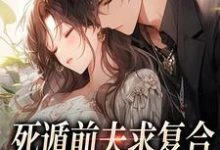 已完结小说《死遁前夫求复合,再婚老公红了眼》章节在线阅读-红梅文学