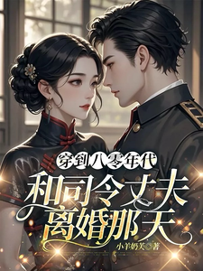 求穿到八零年代和司令丈夫离婚那天小说免费资源