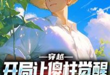 求推荐可以免费阅读穿越:开局让傻柱觉醒,不做舔狗小说的网站-红梅文学
